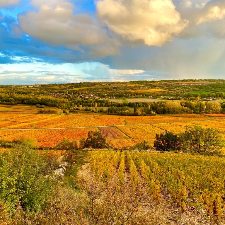 Bourgogne - Santenay - HN Comm
